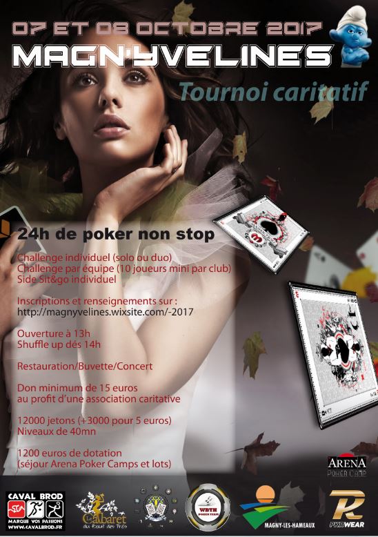 Affiche magnyvelines 2017